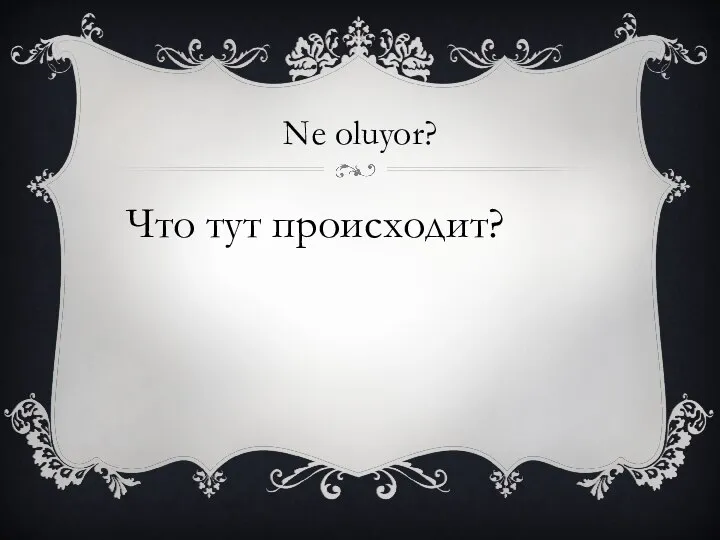 Ne oluyor? Что тут происходит?