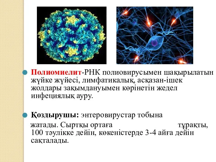 Полиомиелит-РНК полиовирусымен шақырылатын жүйке жүйесі, лимфатикалық, асқазан-ішек жолдары зақымдануымен көрінетін жедел