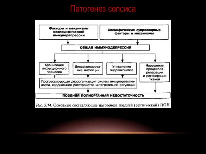 Патогенез сепсиса