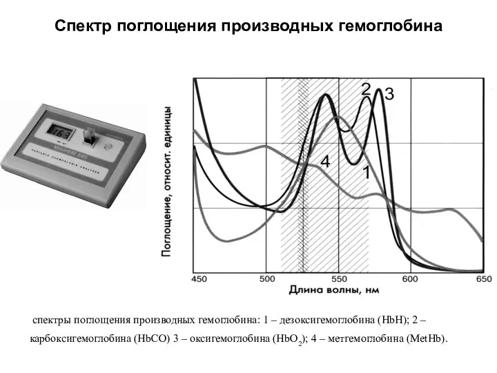 Спектр поглощения производных гемоглобина спектры поглощения производных гемоглобина: 1 – дезоксигемоглобина