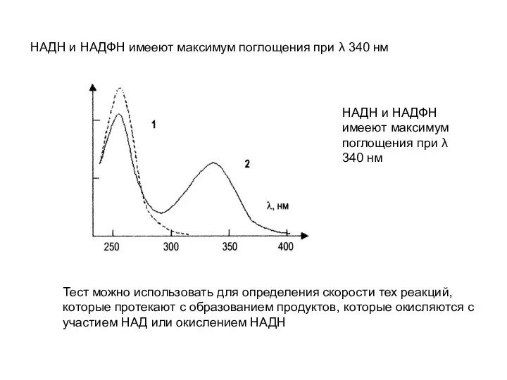 НАДН и НАДФН имееют максимум поглощения при λ 340 нм НАДН