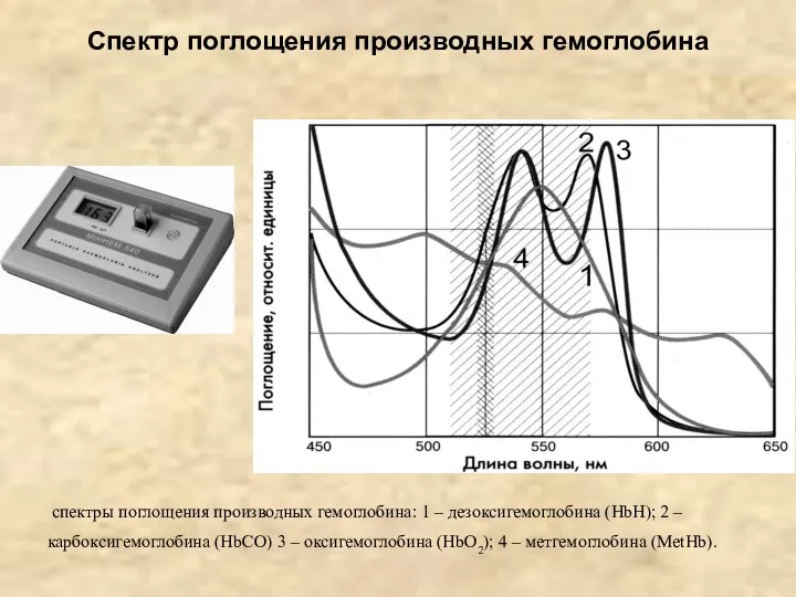 Спектр поглощения производных гемоглобина спектры поглощения производных гемоглобина: 1 – дезоксигемоглобина