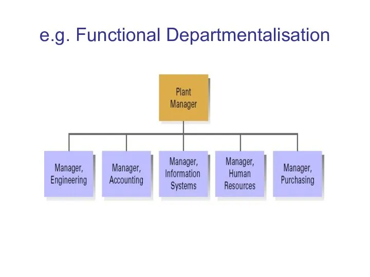 e.g. Functional Departmentalisation