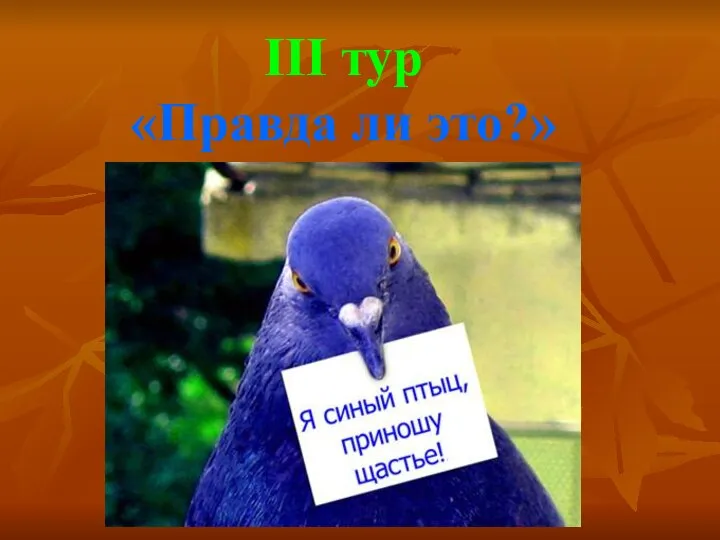 III тур «Правда ли это?»