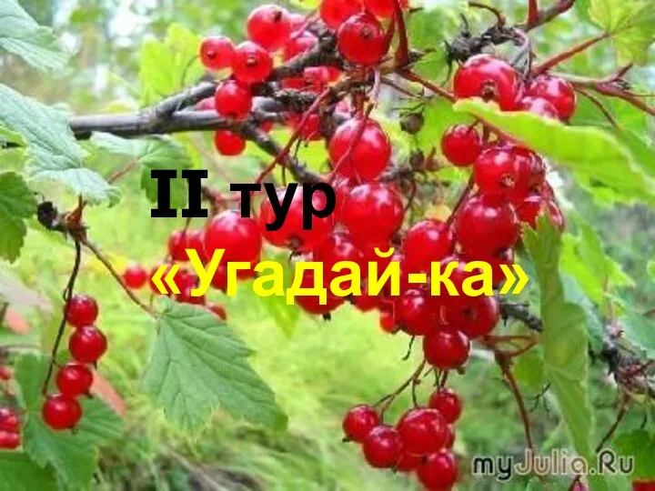 II тур «Угадай-ка» II тур «Угадай-ка»