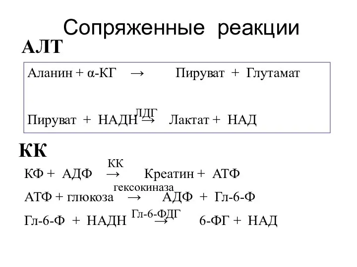 Сопряженные реакции Аланин + α-КГ → Пируват + Глутамат Пируват +