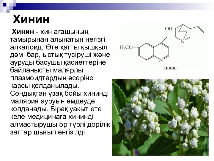 Хинин Хинин - хин ағашының тамырынан алынатын негізгі алкалоид. Өте қатты