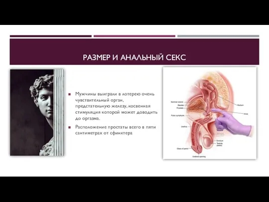 РАЗМЕР И АНАЛЬНЫЙ СЕКС Мужчины выиграли в лотерею очень чувствительный орган,