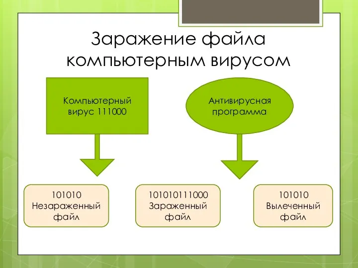 Заражение файла компьютерным вирусом Компьютерный вирус 111000 Антивирусная программа 101010 Незараженный