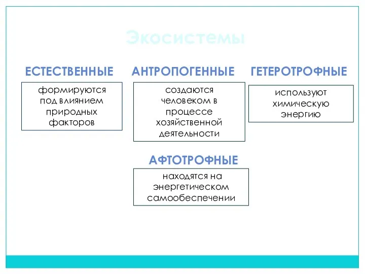 Экосистемы ЕСТЕСТВЕННЫЕ АНТРОПОГЕННЫЕ АФТОТРОФНЫЕ ГЕТЕРОТРОФНЫЕ формируются под влиянием природных факторов создаются