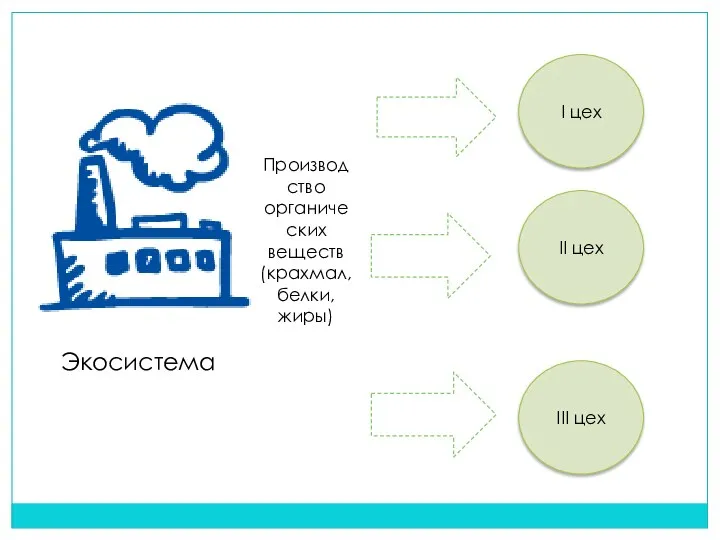 Экосистема Производство органических веществ (крахмал, белки, жиры) I цех II цех III цех