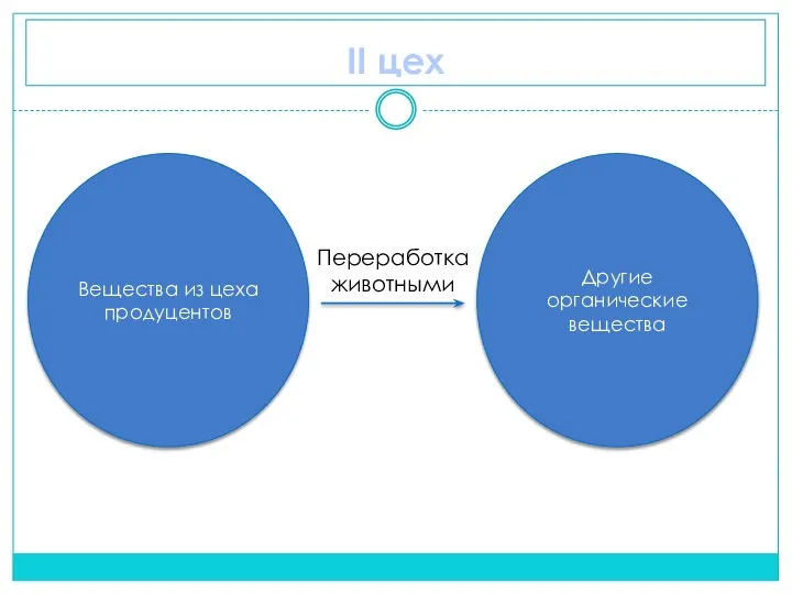 II цех Вещества из цеха продуцентов Другие органические вещества Переработка животными