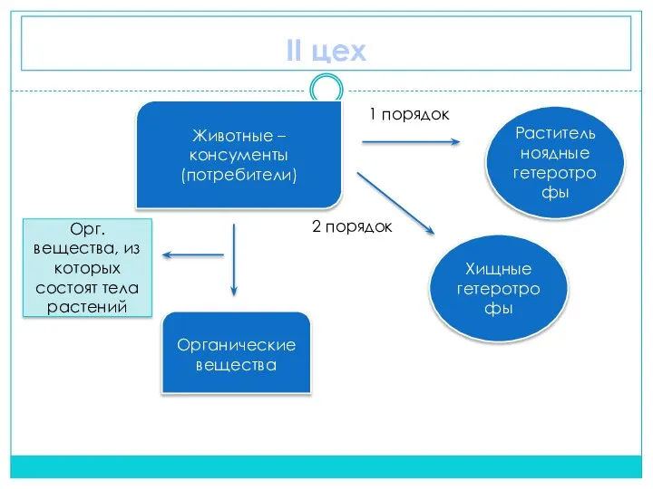 II цех Животные – консументы (потребители) Органические вещества Орг. вещества, из