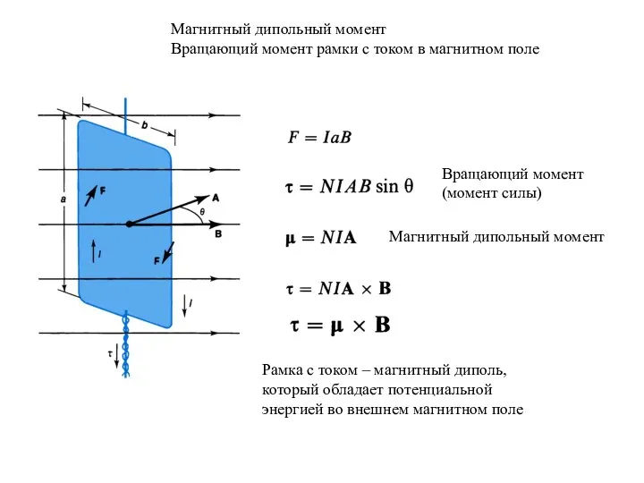 Магнитный дипольный момент Вращающий момент рамки с током в магнитном поле