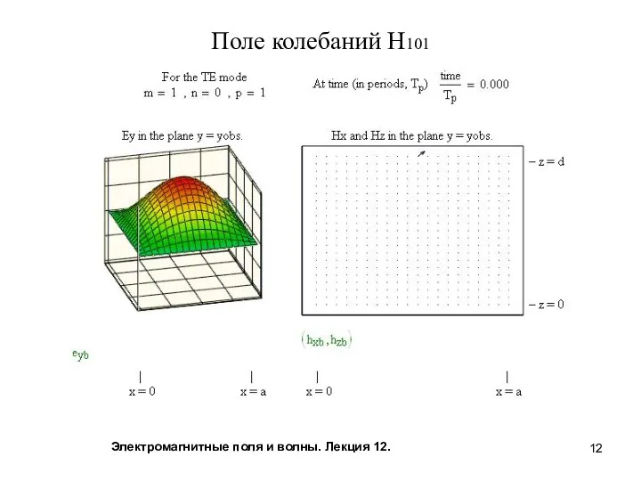 Поле колебаний Н101 Электромагнитные поля и волны. Лекция 12.