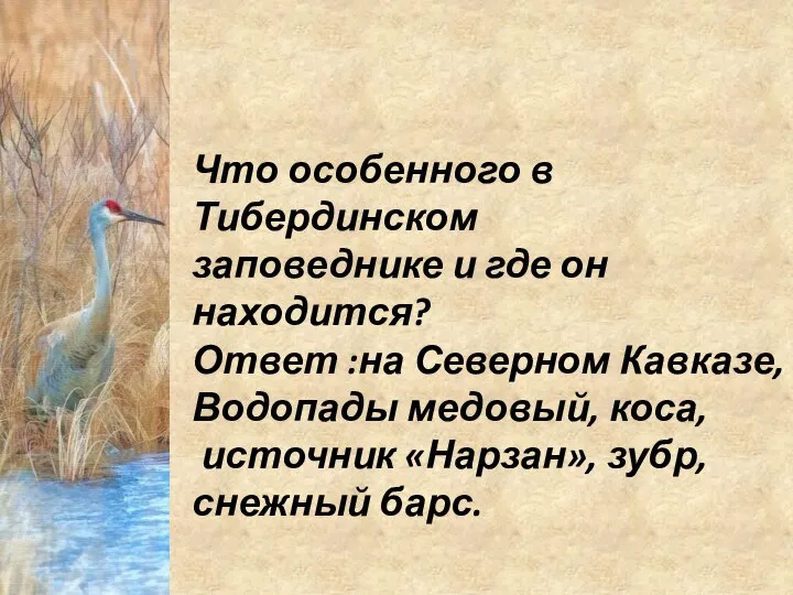 Что особенного в Тибердинском заповеднике и где он находится? Ответ :на