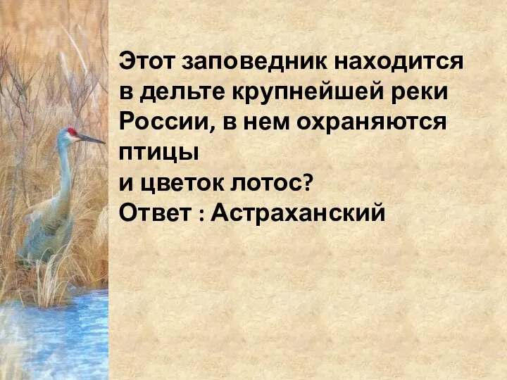 Этот заповедник находится в дельте крупнейшей реки России, в нем охраняются