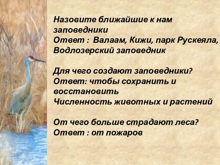 Назовите ближайшие к нам заповедники Ответ : Валаам, Кижи, парк Рускеяла,