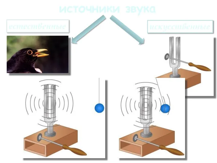 источники звука естественные искусственные