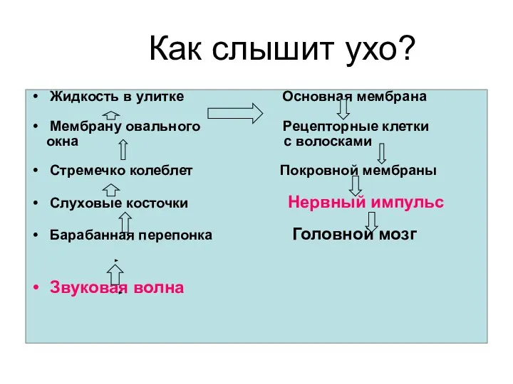 Как слышит ухо? Жидкость в улитке Основная мембрана Мембрану овального Рецепторные