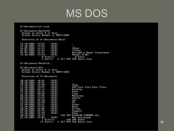 MS DOS