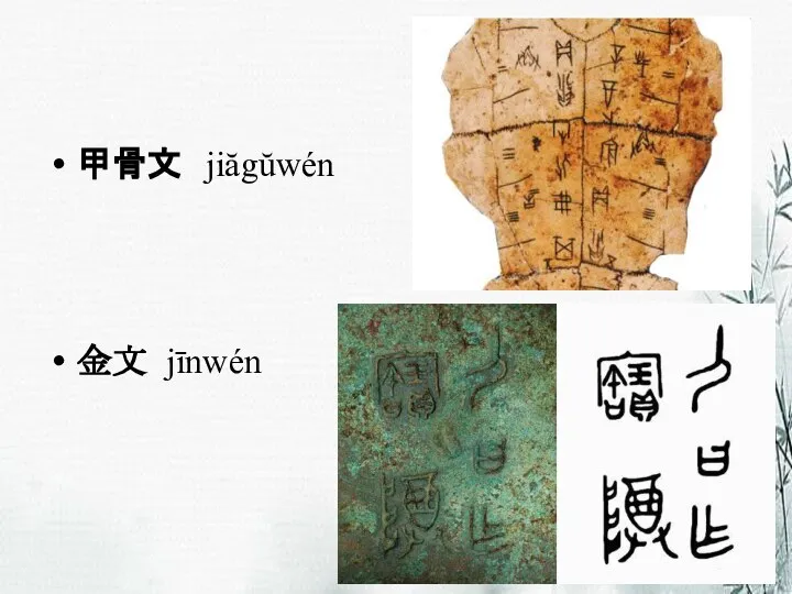 甲骨文 jiăgŭwén 金文 jīnwén