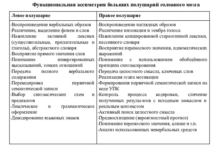 Функциональная ассиметрия больших полушарий головного мозга