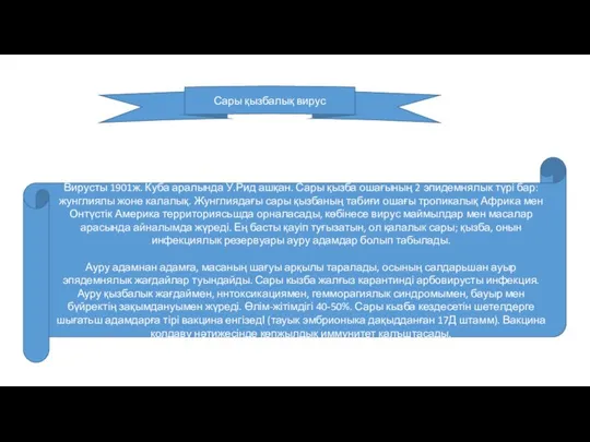 Сары қызбалық вирус Вирусты 1901ж. Куба аралында У.Рид ашқан. Сары қызба