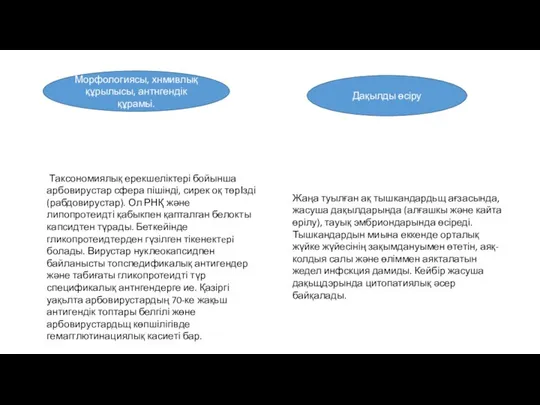 Морфологиясы, хнмивлық құрылысы, антнгендік құрамьі. Таксономиялық ерекшеліктері бойынша арбовирустар сфера пішінді,