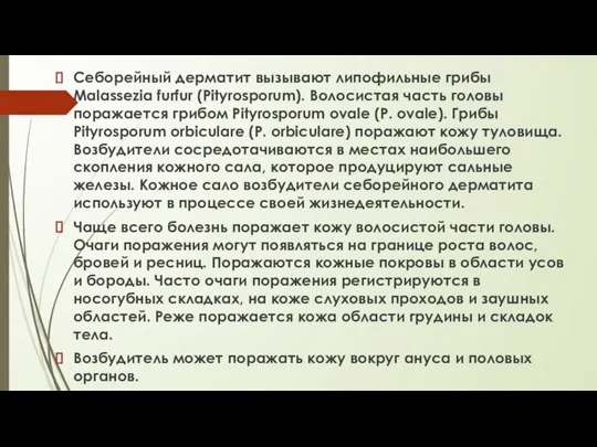 Себорейный дерматит Себорейный дерматит вызывают липофильные грибы Malassezia furfur (Pityrosporum). Волосистая