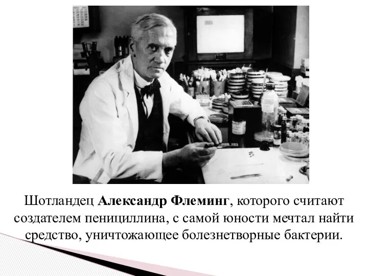 Шотландец Александр Флеминг, которого считают создателем пенициллина, с самой юности мечтал найти средство, уничтожающее болезнетворные бактерии.