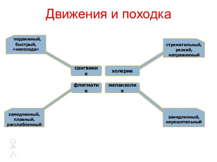 Движения и походка сангвиник холерик флегматик меланхолик стремительный, резкий, напряженный подвижный,