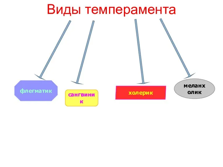 Виды темперамента флегматик холерик меланхолик сангвиник