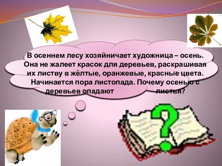 В осеннем лесу хозяйничает художница – осень. Она не жалеет красок