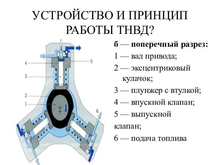 УСТРОЙСТВО И ПРИНЦИП РАБОТЫ ТНВД? б — поперечный разрез: 1 —