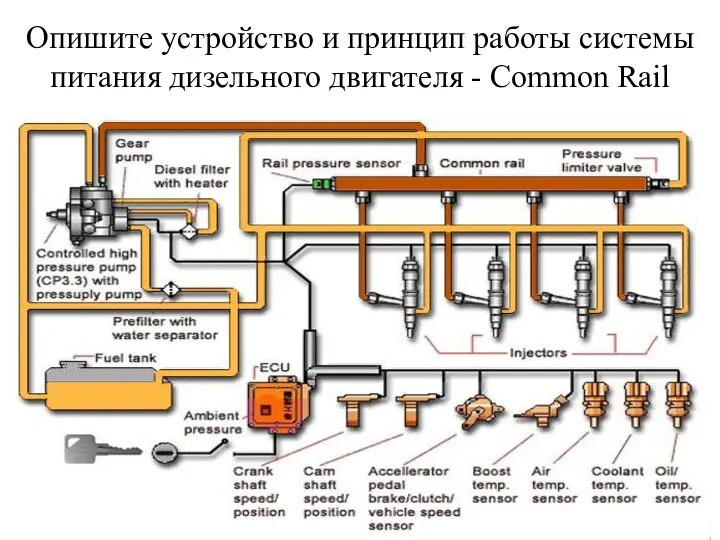 Опишите устройство и принцип работы системы питания дизельного двигателя - Common Rail