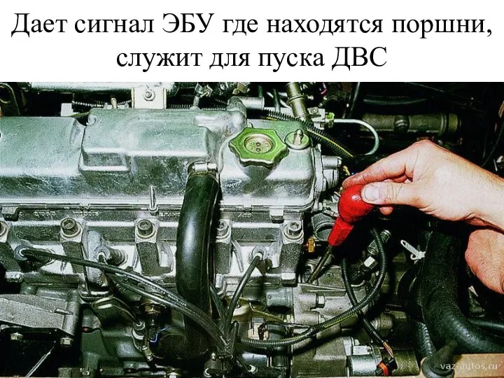 Дает сигнал ЭБУ где находятся поршни, служит для пуска ДВС