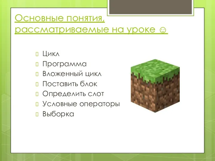 Цикл Программа Вложенный цикл Поставить блок Определить слот Условные операторы Выборка