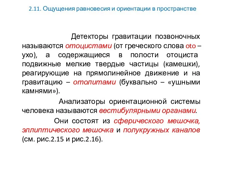 2.11. Ощущения равновесия и ориентации в пространстве Детекторы гравитации позвоночных называются