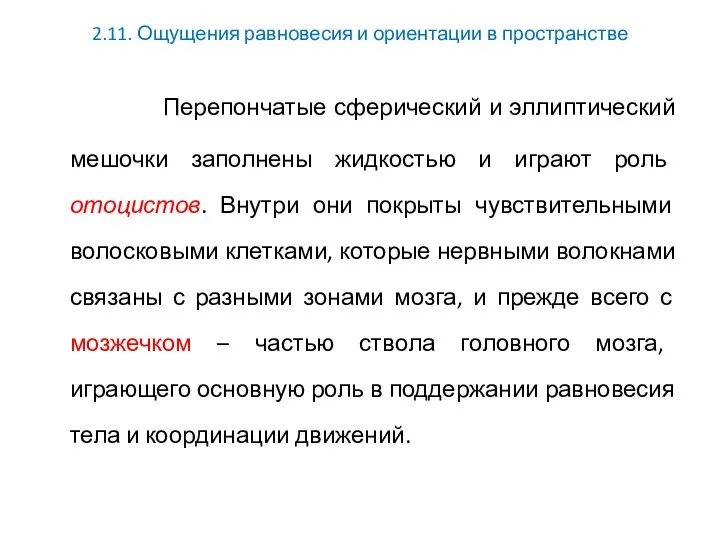 2.11. Ощущения равновесия и ориентации в пространстве Перепончатые сферический и эллиптический