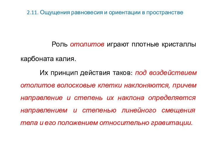 2.11. Ощущения равновесия и ориентации в пространстве Роль отолитов играют плотные