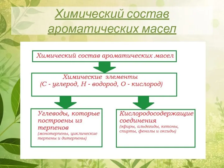 Химический состав ароматических масел