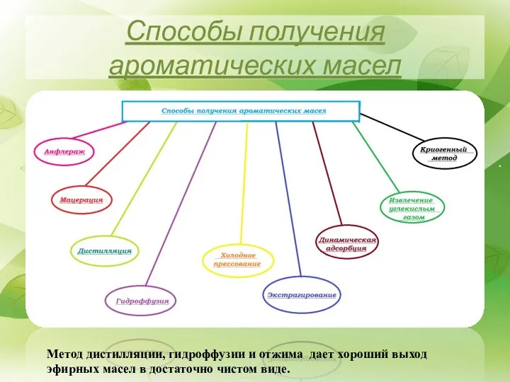 Способы получения ароматических масел Метод дистилляции, гидроффузии и отжима дает хороший