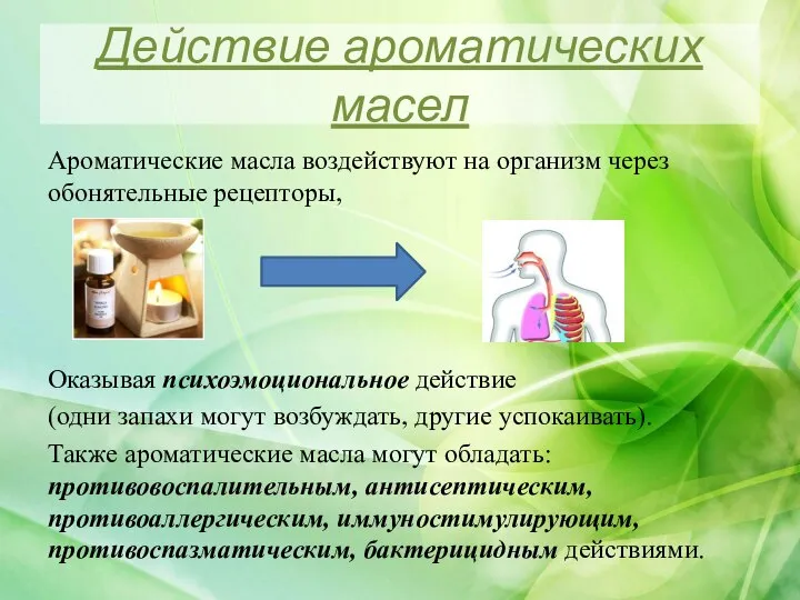 Действие ароматических масел Ароматические масла воздействуют на организм через обонятельные рецепторы,