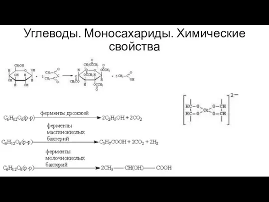 Углеводы. Моносахариды. Химические свойства