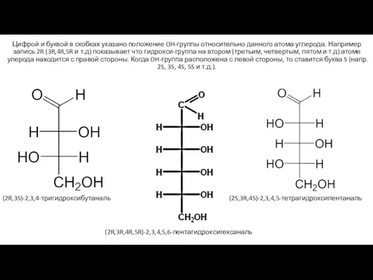 Цифрой и буквой в скобках указано положение OH-группы относительно данного атома