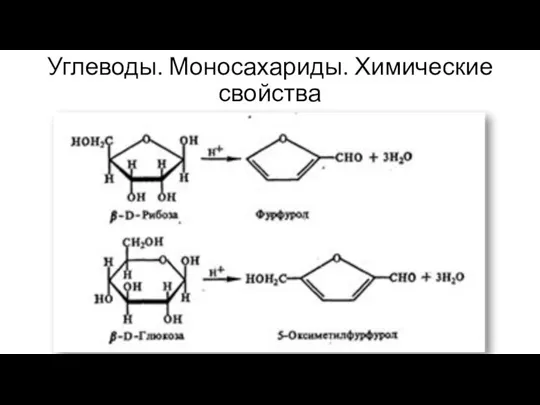 Углеводы. Моносахариды. Химические свойства