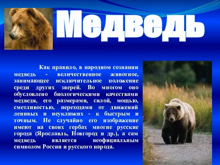 Медведь Как правило, в народном сознании медведь - величественное животное, занимающее