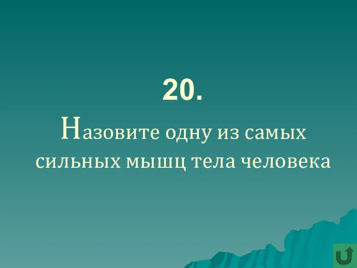 20. Назовите одну из самых сильных мышц тела человека