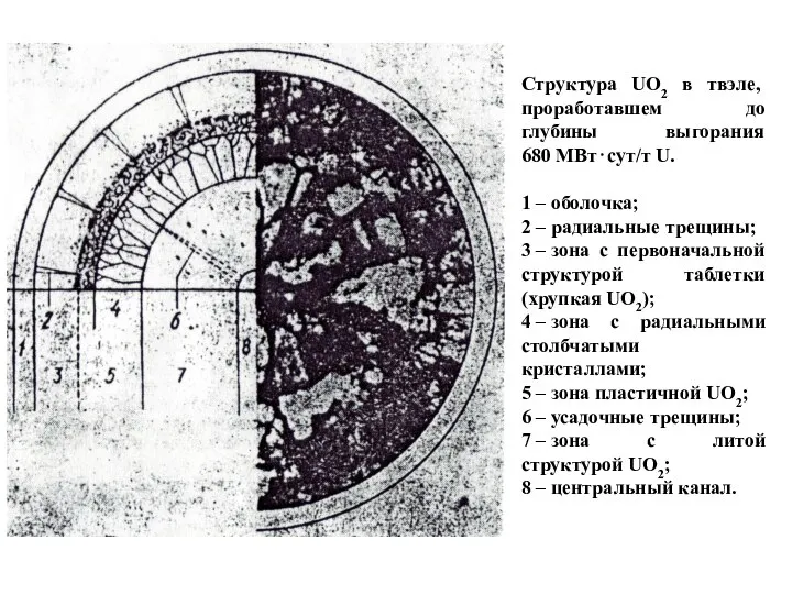 Структура UO2 в твэле, проработавшем до глубины выгорания 680 МВт⋅сут/т U.